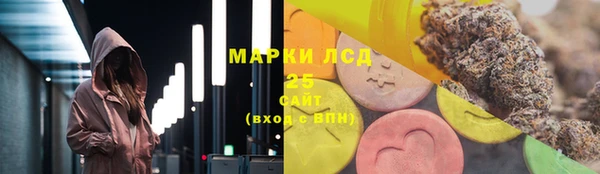 ПСИЛОЦИБИНОВЫЕ ГРИБЫ Баксан