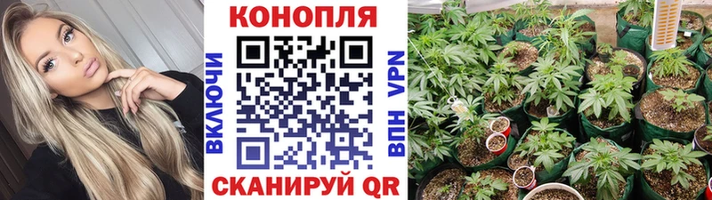 Купить закладки  Белебей  Бошки марихуана план 